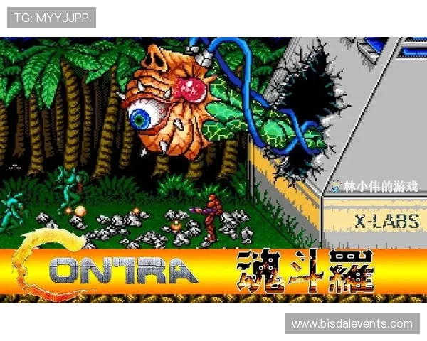 FC游戏大全完整收录,涵盖从早期到现代的所有经典游戏作品 FC游戏大全完整收录,涵盖从早期到现代的所有经典游戏作品